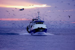 fishing boat