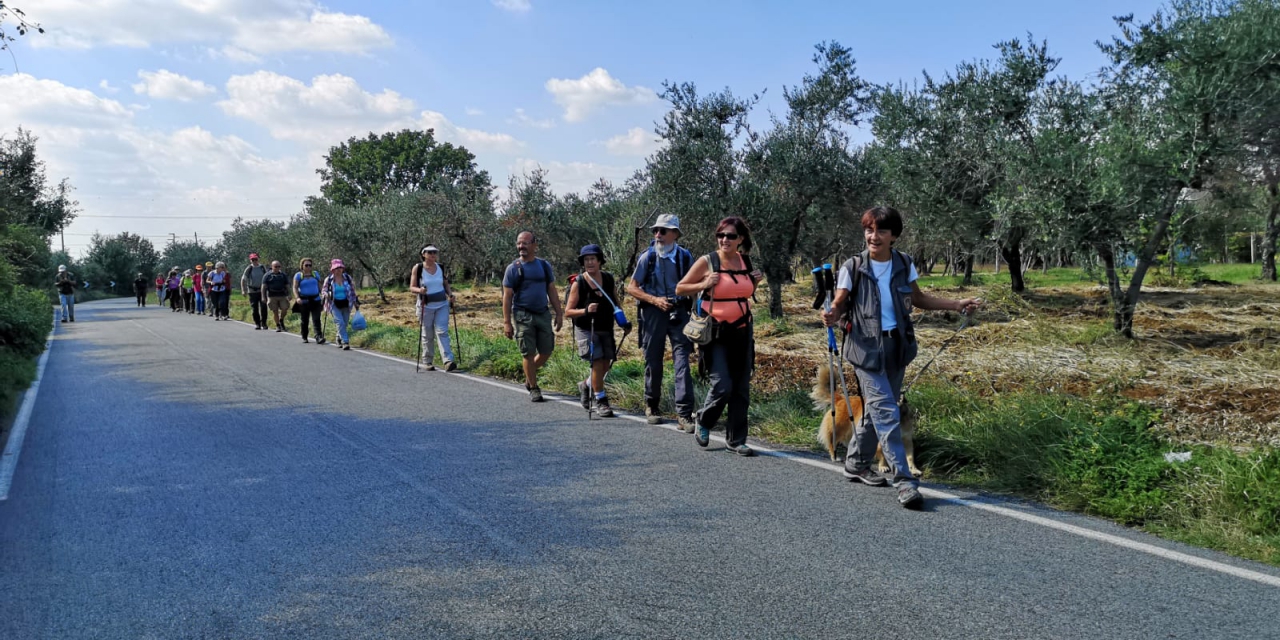 Una delle camminate organizzate dall'associazione Sentiero Verde