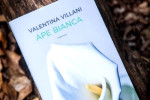Ape Bianca, di Valentina Villani